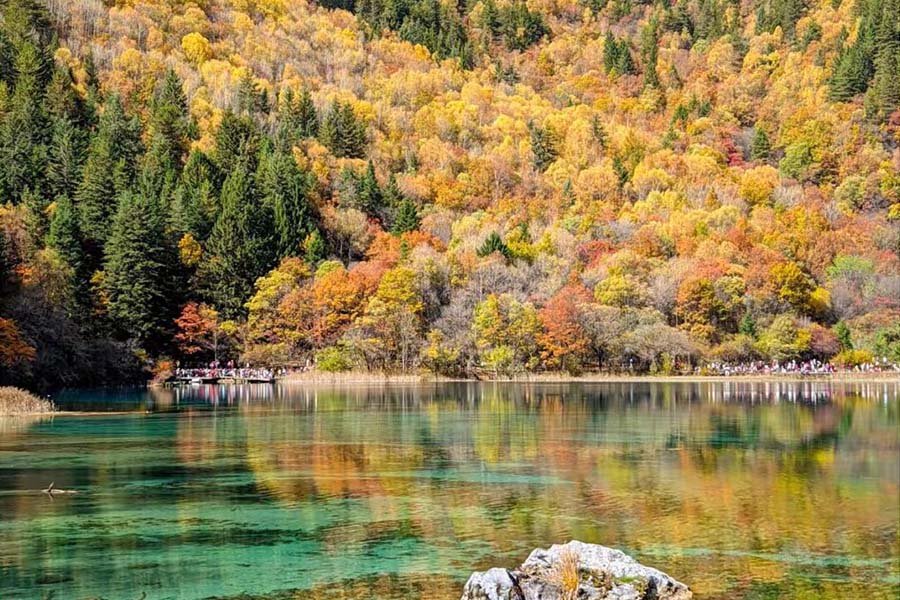JiuZaiGou